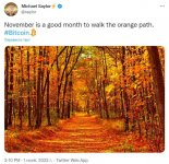 Photo 2022 11 01 16 36 32