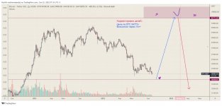 Photo 2022 11 11 08 51 12