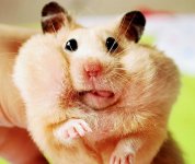 Screenshot 7 Screenshot 7