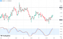 1727638793279 1727638793279