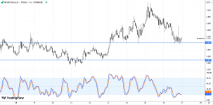 1732653817102 1732653817102